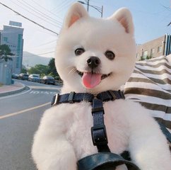 小狐狸钱包|(MetaMask)钱包安卓版